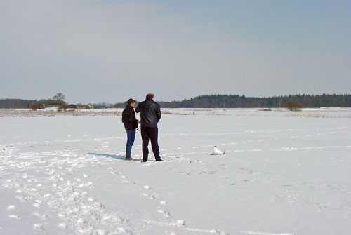 DSC04016-500.jpg